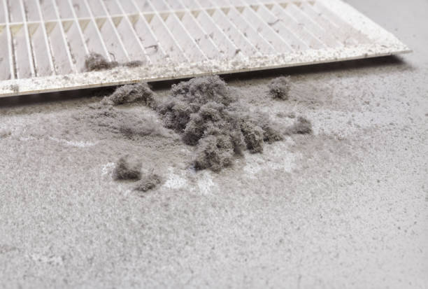 Best Affordable Air Duct Cleaning  in Vance, AL